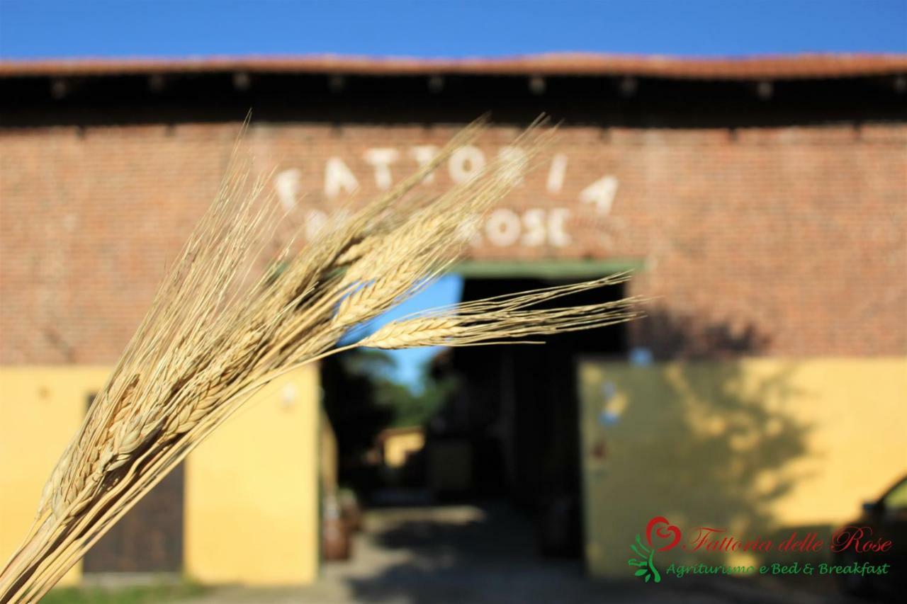 Fattoria Delle Rose Villa Salussola Eksteriør billede