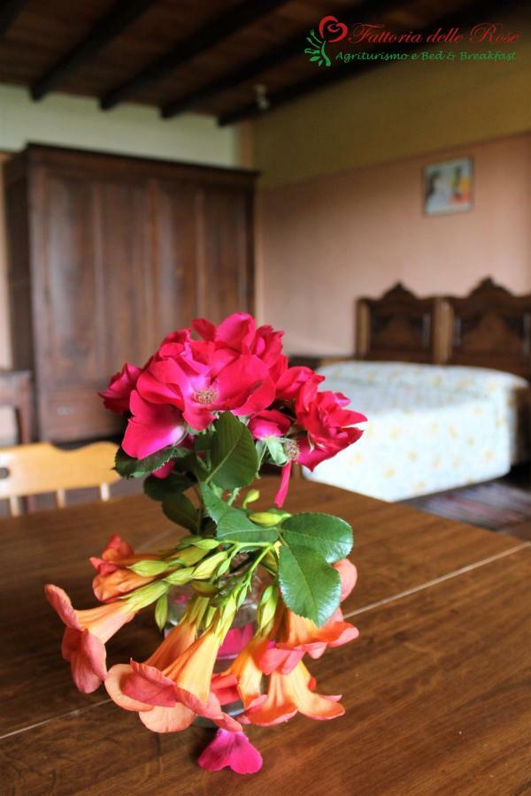 Fattoria Delle Rose Villa Salussola Værelse billede